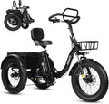 ESKUTE Elektro Dreirad f¨¹r Erwachsene T302 Pro, Elektrofahrrad, 48 V, 20,8 Ah, 25 km/h, 4 Zoll, 200 KG, 120 KG