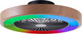 Lightbox LED Deckenlampe mit Ventilator & Rahmen in Holzoptik & RGB Front Light & CCT, Deckenleuchte, Sofa, 49 cm, LED-Beleuchtung, Schwarz